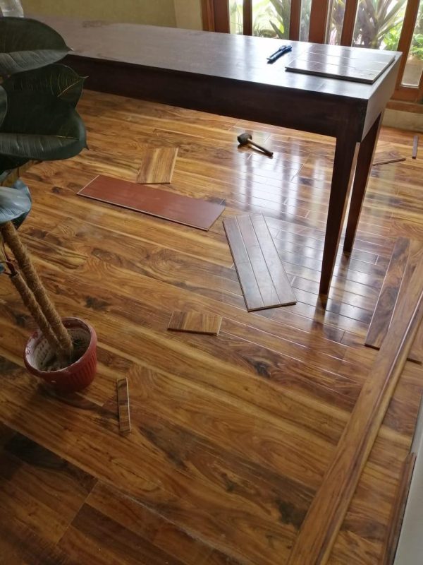 WhatsApp Image 2025-05-20 at 18.53.29_a8e56cbc