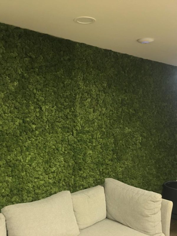 WhatsApp Image 2026-01-24 at 9.40.17 PM (17)